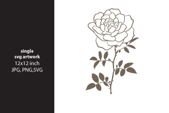 Download Hand Drawing Wild Flowers Theme - Drawing wild flowers Collection
