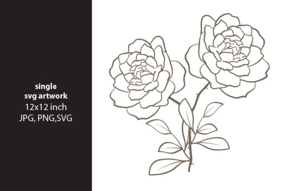 Download Hand Drawing Wild Flowers Theme - Drawing wild flowers Collection